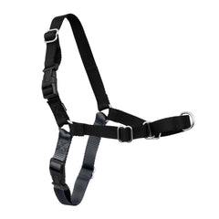 Harnais PetSafe Easy Walk avec martingale frontale pour limiter les tirages.
