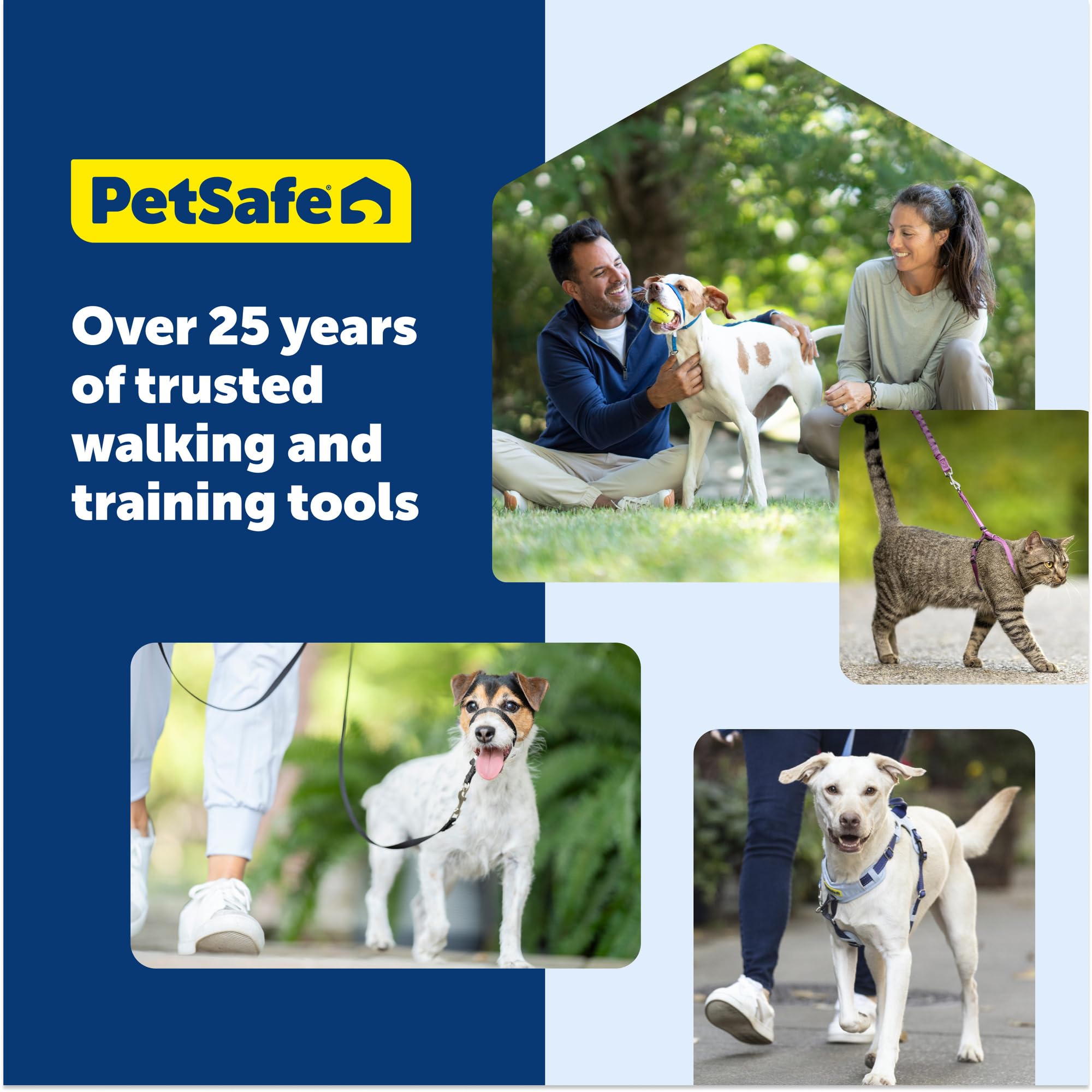Harnais PetSafe Easy Walk, noir, taille S/M, idéal pour l’entraînement quotidien.