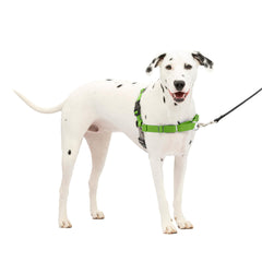 Harnais PetSafe Easy Walk vue poitrine avant, marche sans tirage et maîtrise accrue.