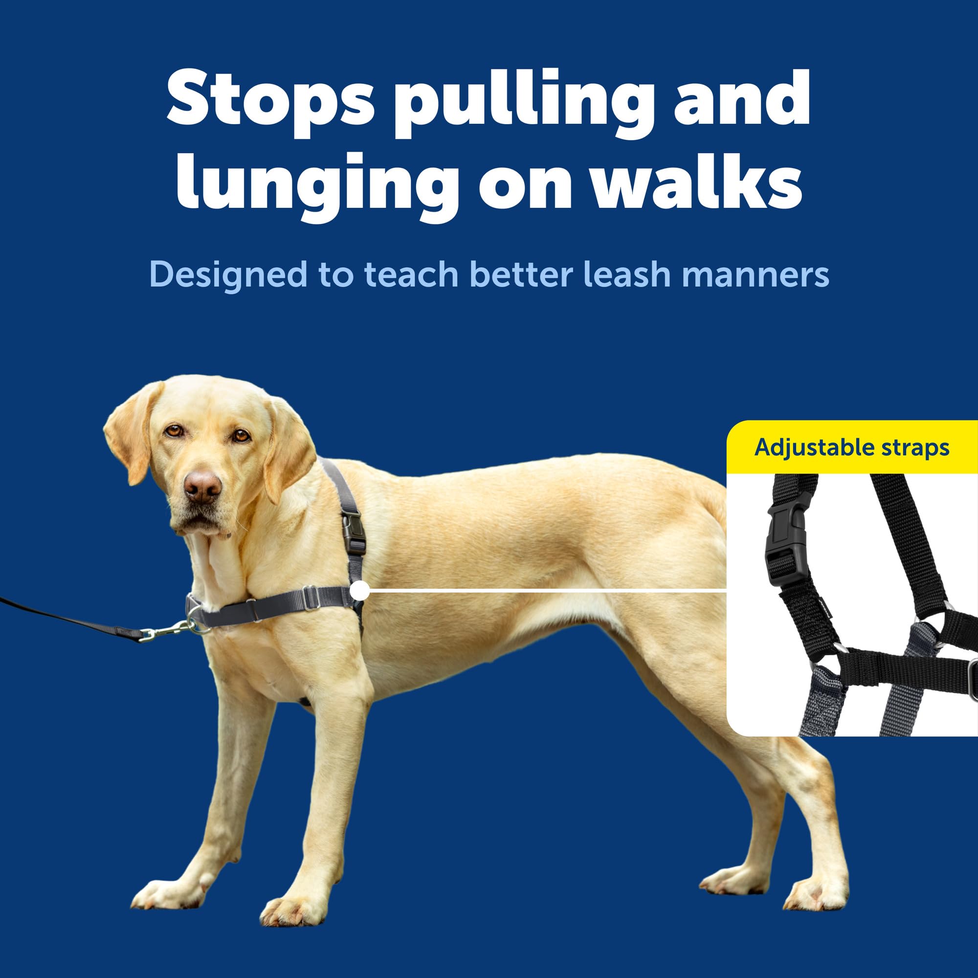 Sangles confort ajustables et design léger du harnais PetSafe Easy Walk.