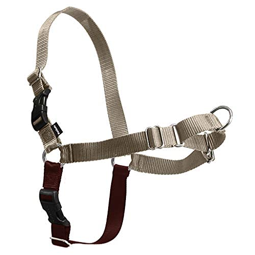 Sangles ajustables et confort PetSafe Easy Walk pour un ajustement facile