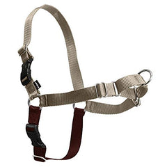 Sangles ajustables et confort PetSafe Easy Walk pour un ajustement facile