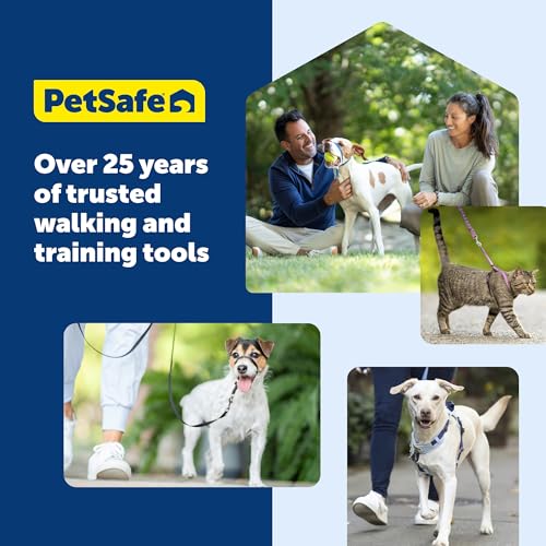 Harnais PetSafe Easy Walk, idéal pour balades quotidiennes et entraînement léger.