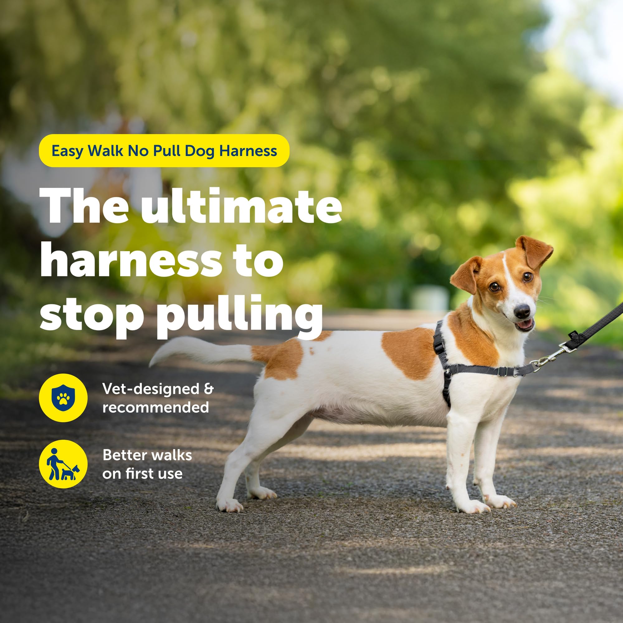 Harnais PetSafe Easy Walk, attache-devant, aide à diriger sans tirer.