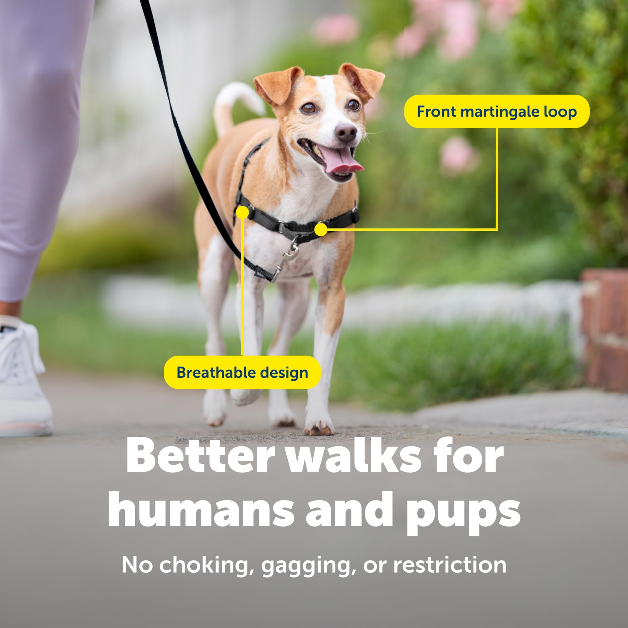 Harnais PetSafe Easy Walk, bretelles confort reglables, ajuste facilement le harnais.
