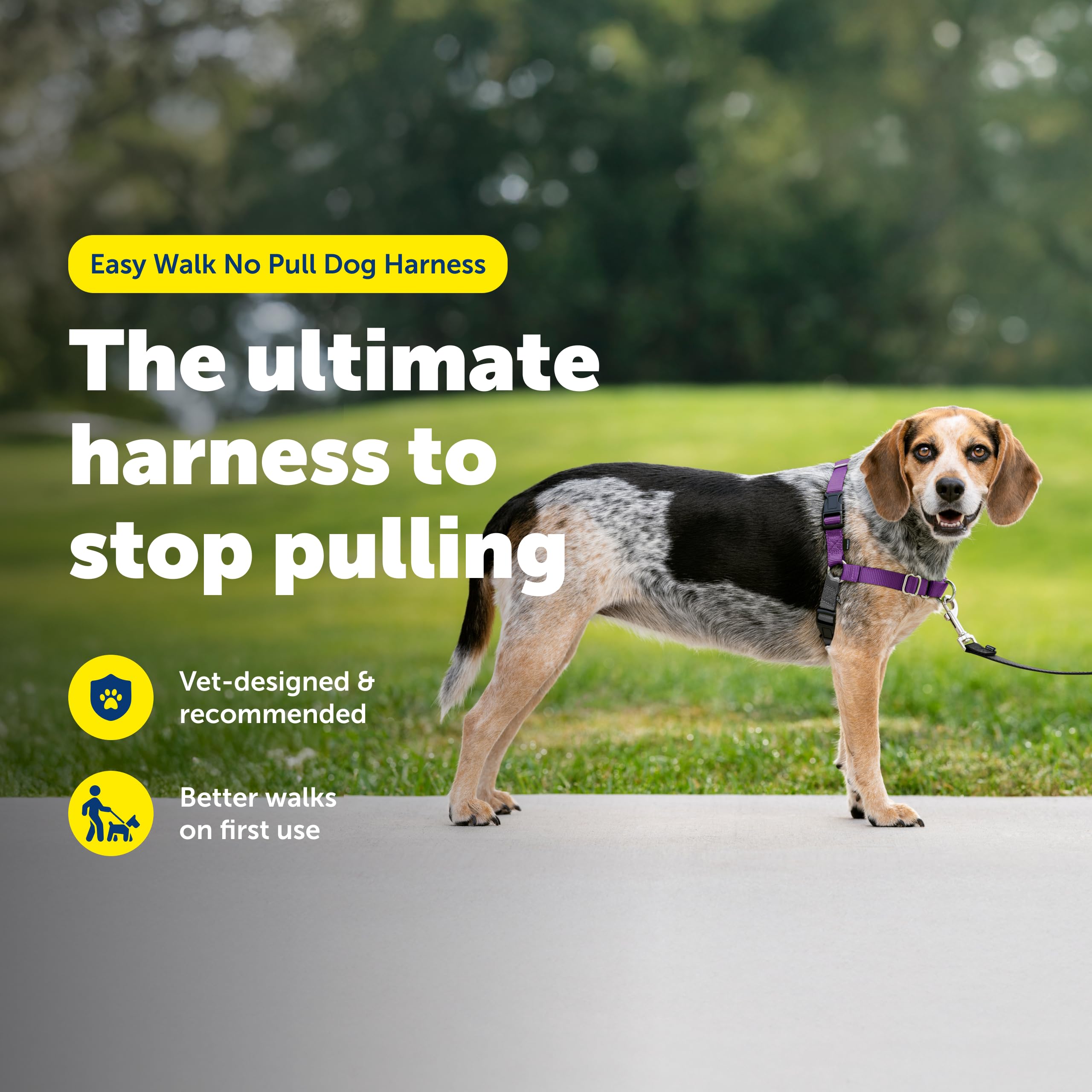 Harnais PetSafe Easy Walk – boucle martingale frontale guide en douceur