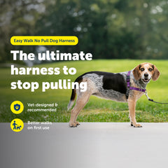 Harnais PetSafe Easy Walk – boucle martingale frontale guide en douceur