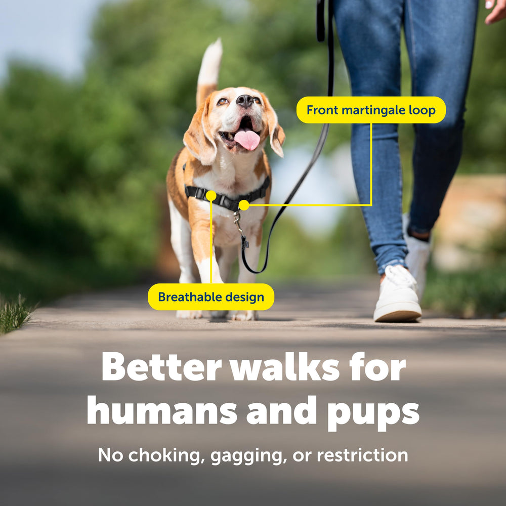 Harnais PetSafe Easy Walk – tissu respirant pour garder le chien au frais