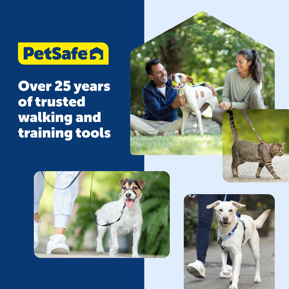 PetSafe Easy Walk – confort et sécurité pour les sorties quotidiennes