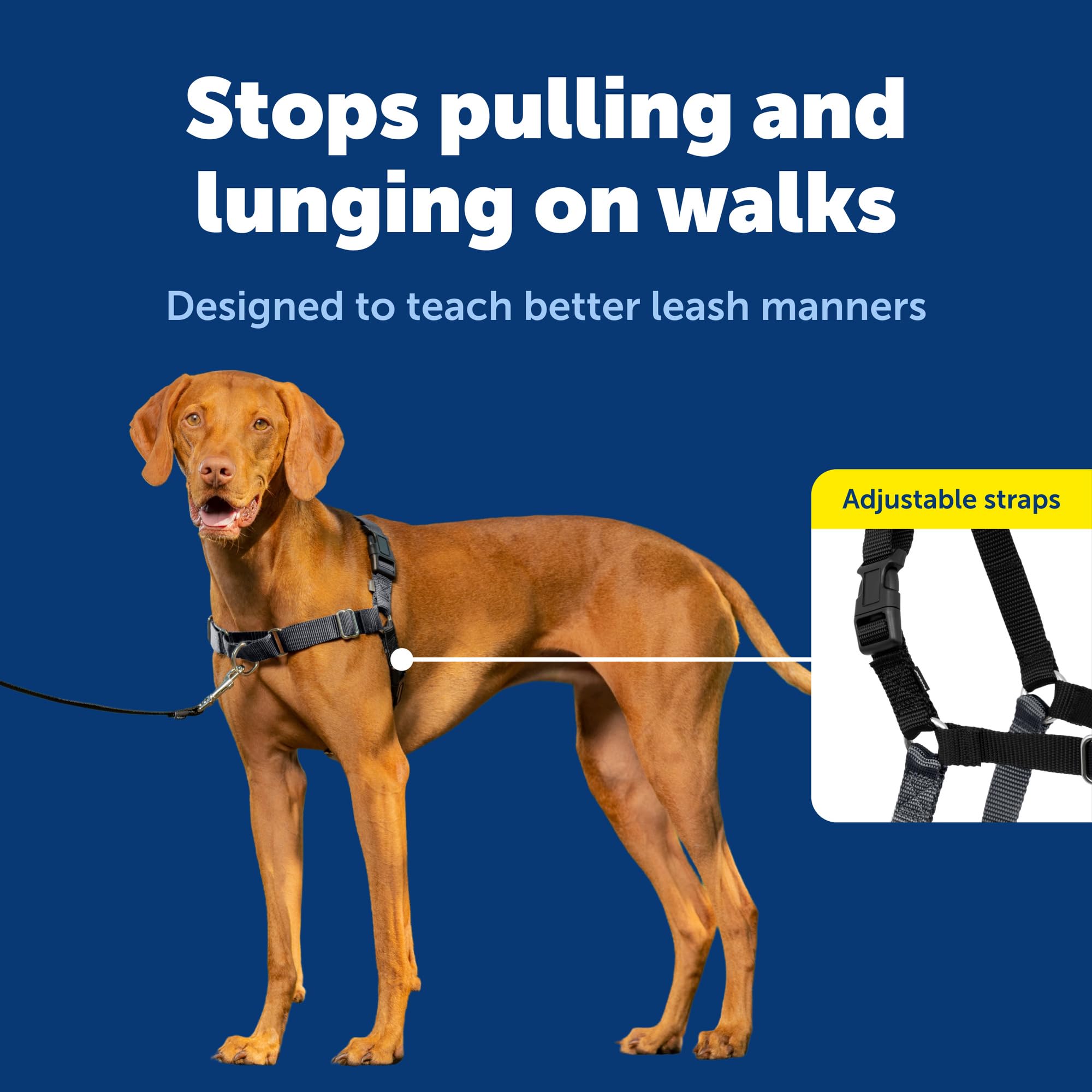 Sangles confort reglables du PetSafe Easy Walk pour un ajustement personnalisé.