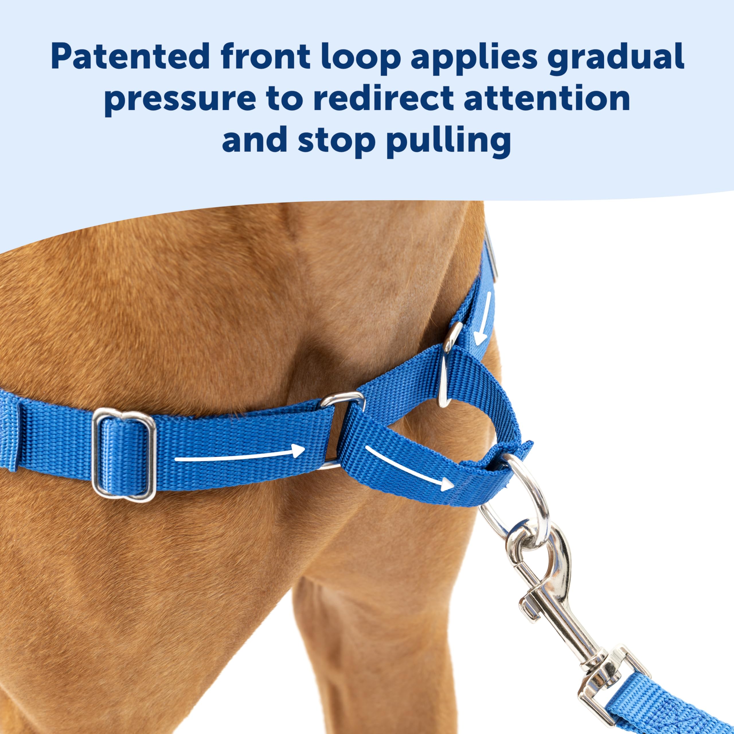 Sangles de confort réglables PetSafe Easy Walk assurant un ajustement personnalisé