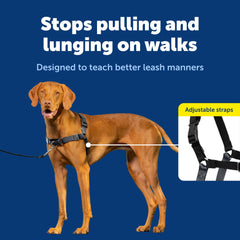 Sangles confort reglables du PetSafe Easy Walk pour un ajustement personnalisé.