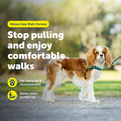 Harnais PetSafe Easy Walk – sangles respirantes pour un port confortable lors des sorties.