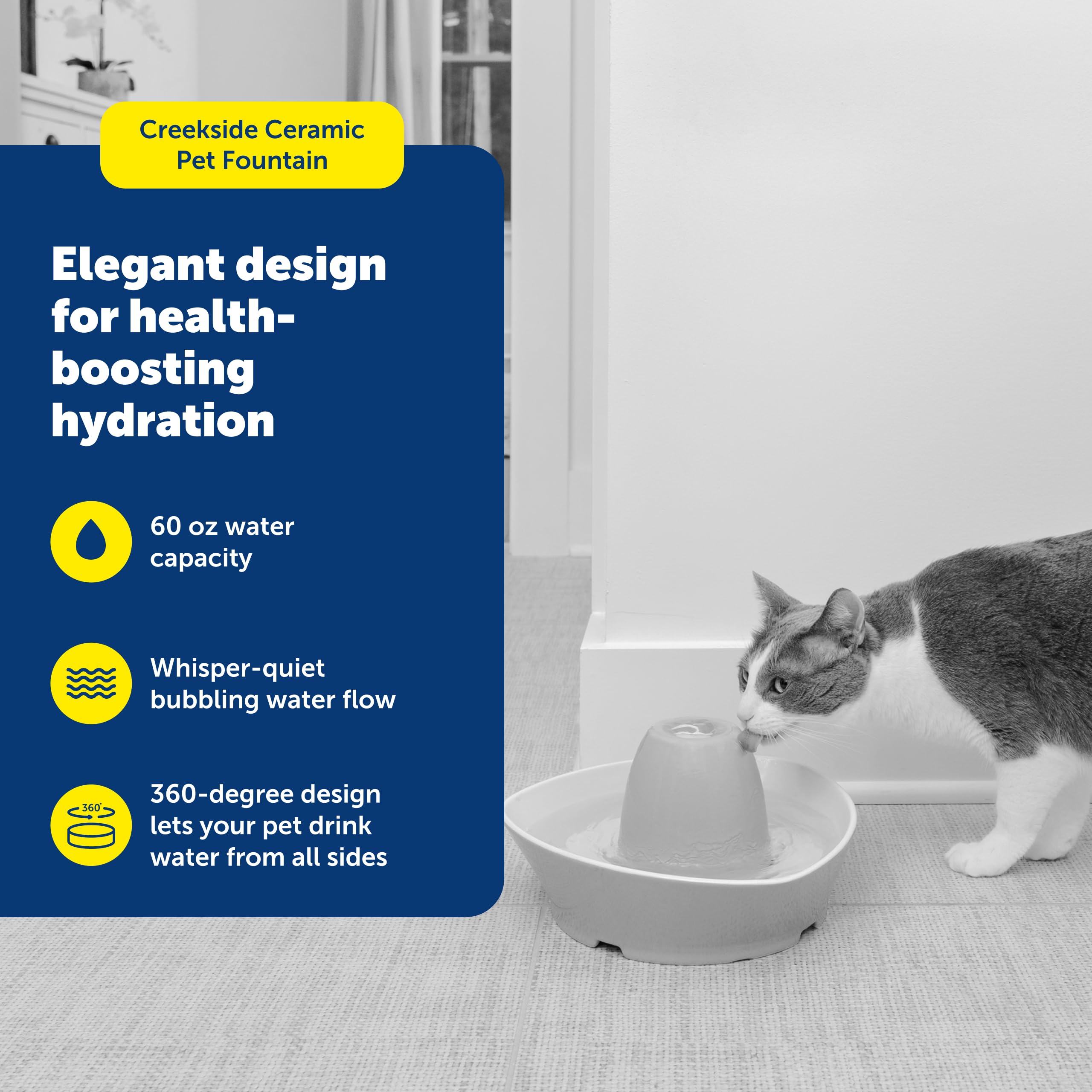 Flux d'eau en bulles pour encourager l'hydratation des animaux PetSafe.