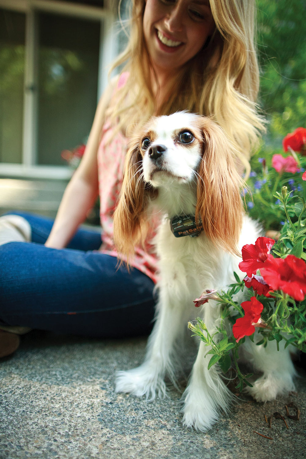 Boucle QuickFit PetSafe Elite pour un ajustement rapide et sûr.