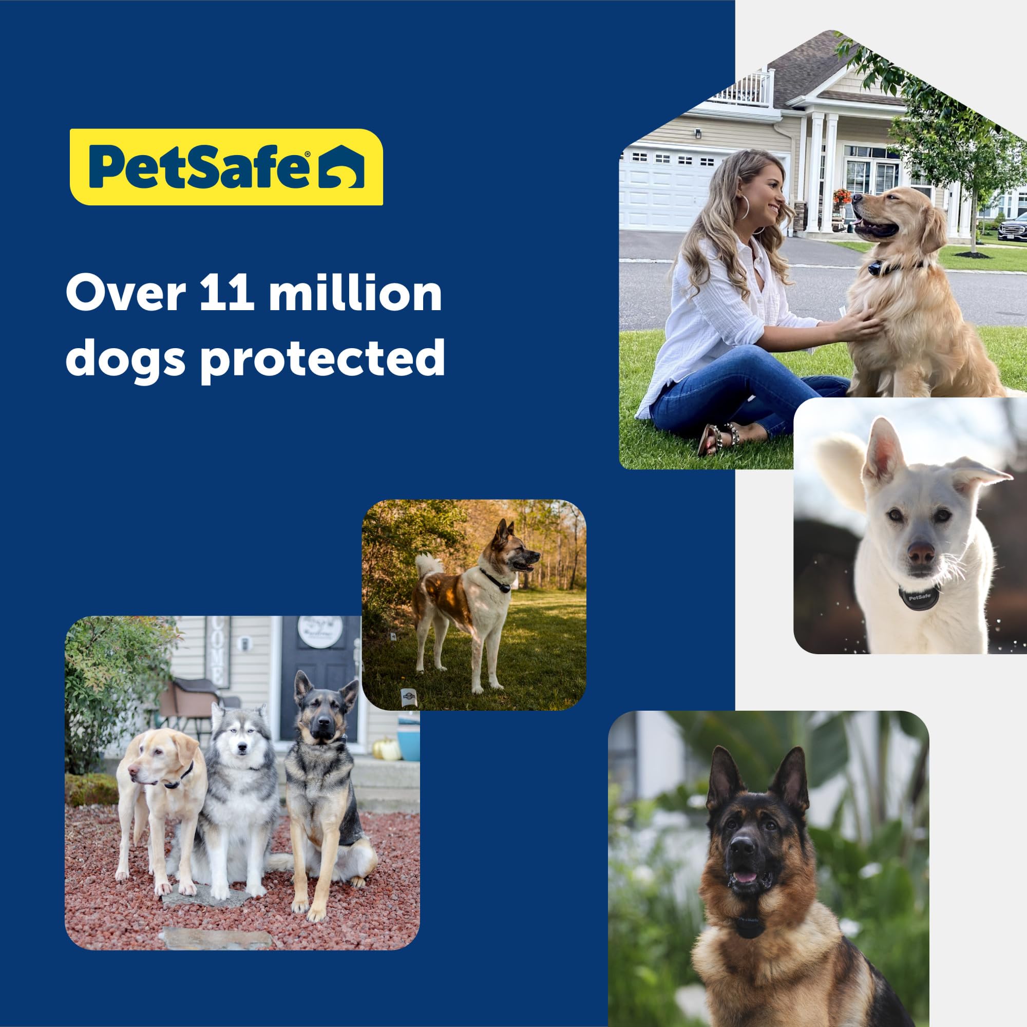 Extensions PetSafe pour plusieurs chiens, système évolutif et pratique.