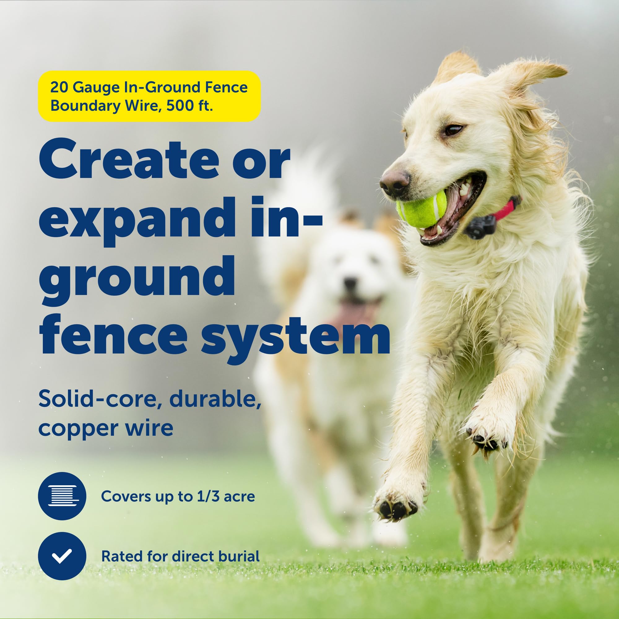 Petsafe fil souterrain 20ga cuivre, solide et durable pour clôture invisible.