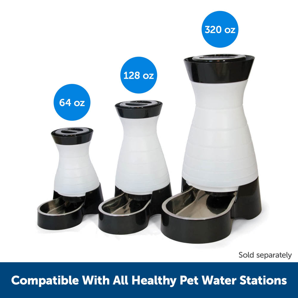 Filtre anti-sédiments PetSafe pour station d'eau, eau claire.