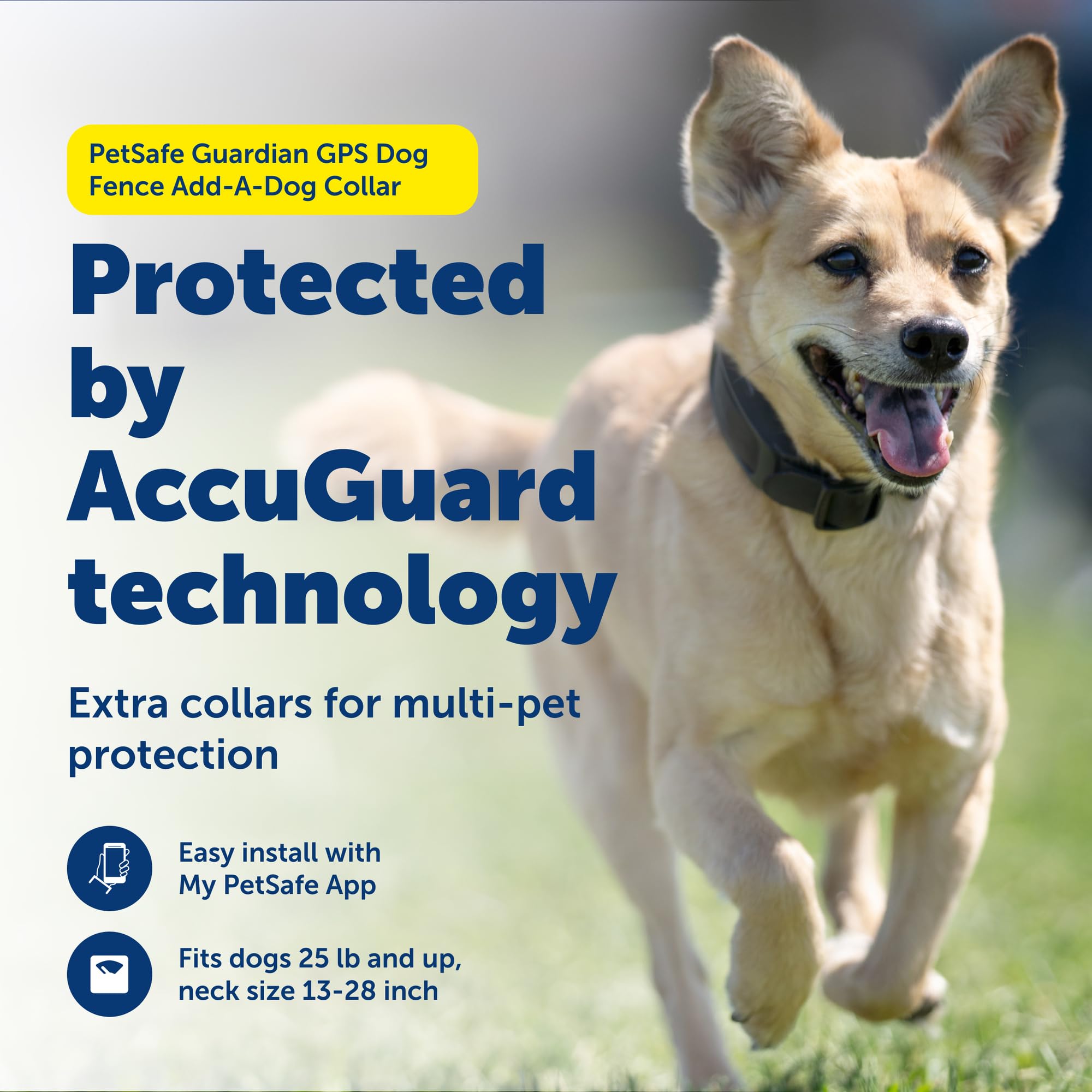 Réglages d’entraînement variés pour le collier Petsafe Guardian.