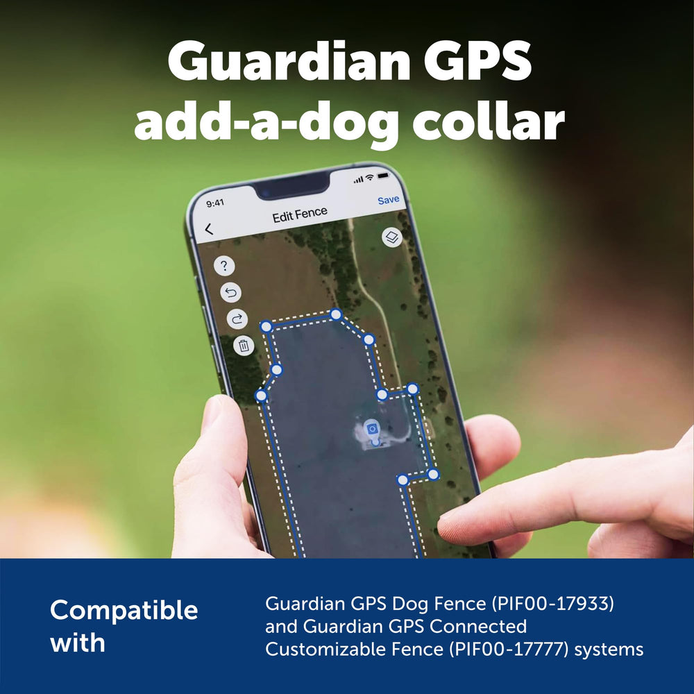 Collier Petsafe, confort quotidien et port sécurisé même sous la pluie.