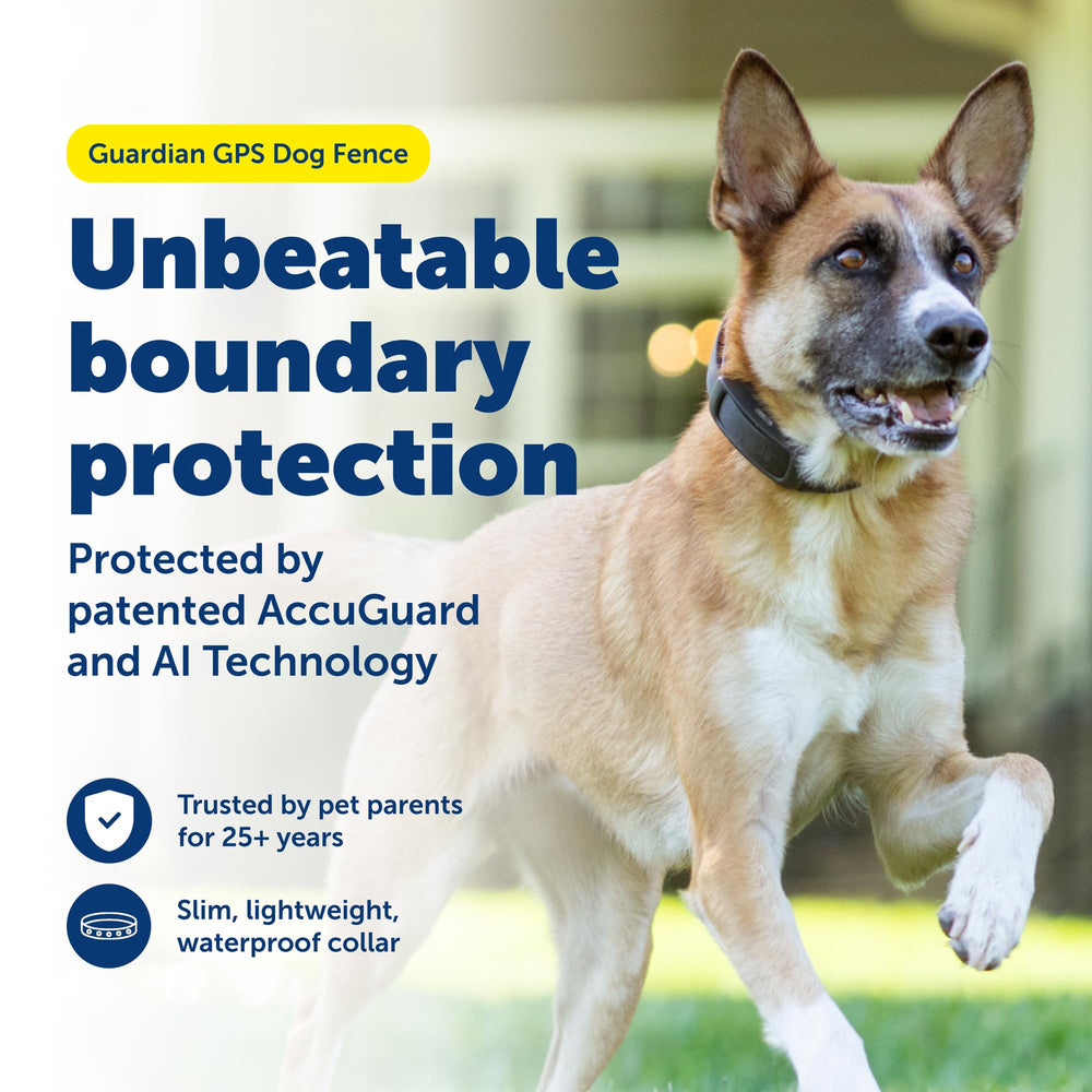 Application My PetSafe pour définir des frontières virtuelles personnalisées.