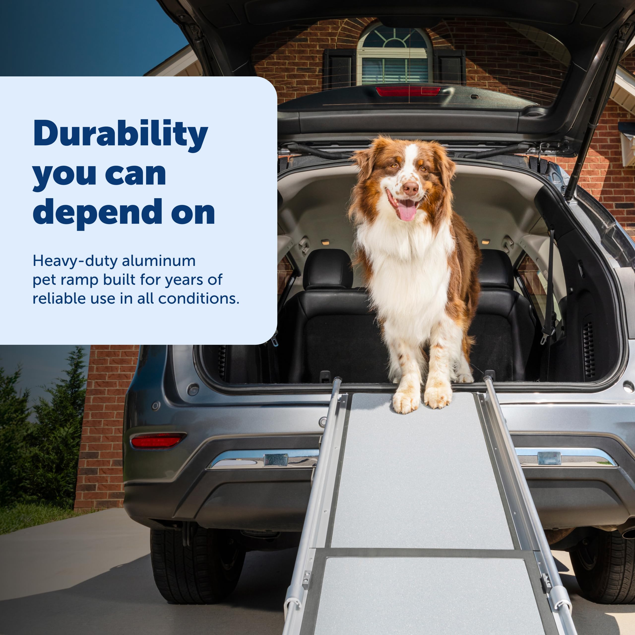 Capacité maximale de 300 lb, Petsafe Happy Ride soutient les animaux lourds.
