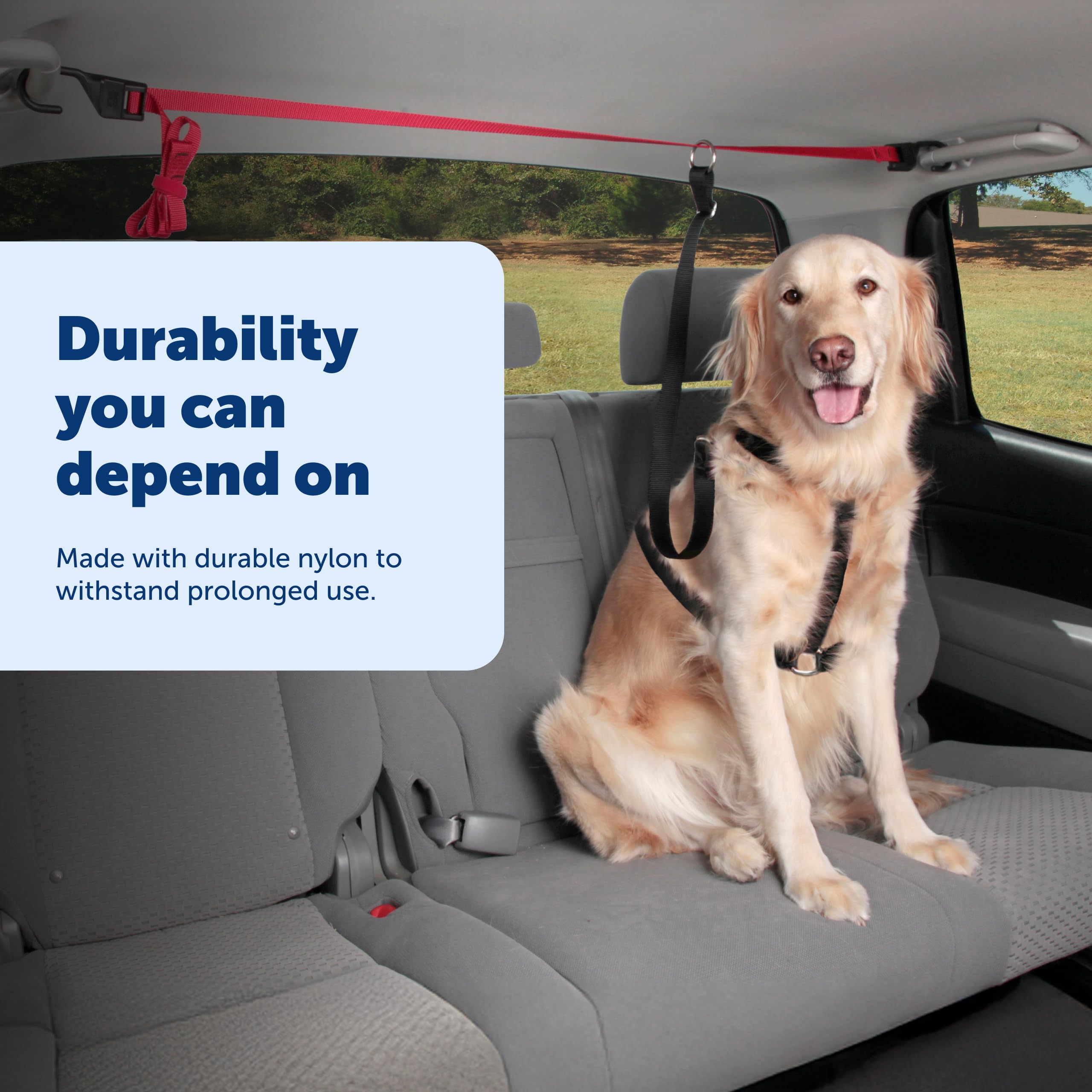 Materiaux durables et confort quotidien avec le Zipline PetSafe.