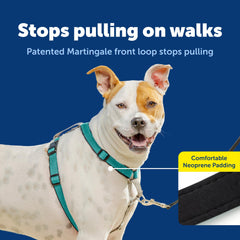 Harnais PetSafe 3-en-1 avec attache ceinture pour securite en voiture