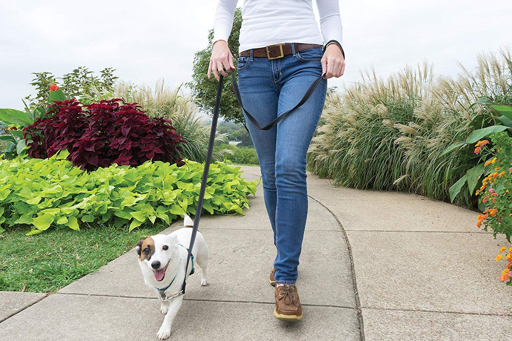 Avant-attache PetSafe 3-en-1 démontrant le contrôle du tirage lors des sorties.