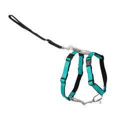 PetSafe Harnais 3-en-1 avec attache-devant, contrôle facilité lors des promenades.