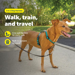PetSafe Harnais 3-en-1 avec boucle Martingale pour diriger l attention et limiter le tirage.