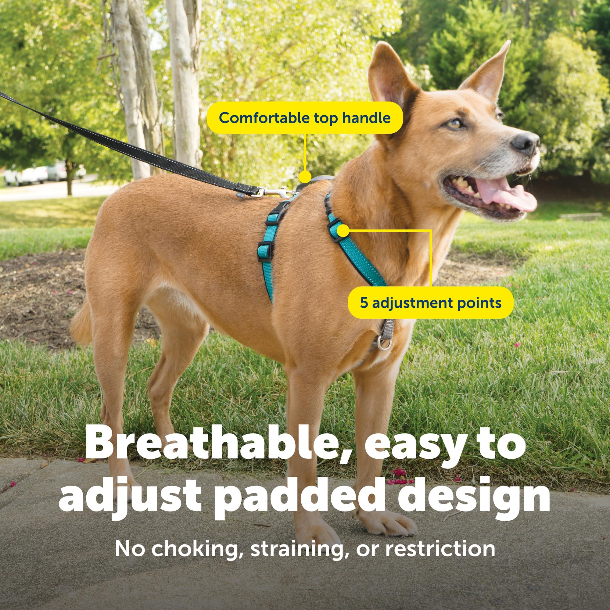 Harnais PetSafe 3-en-1 bretelles respirees et rembourrage confortable