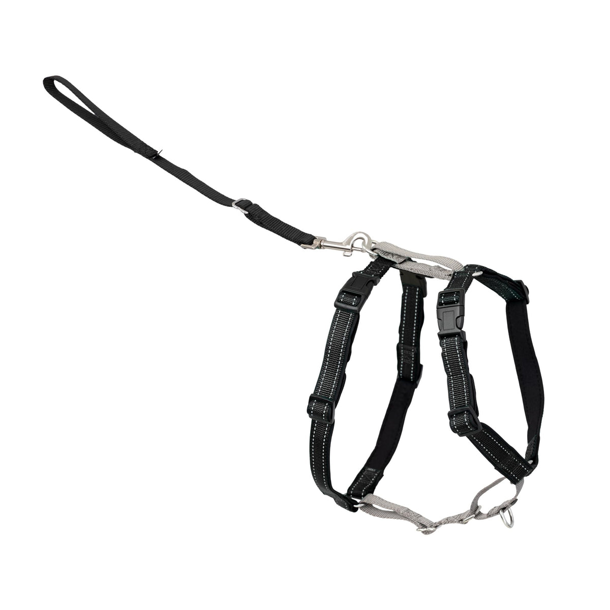 Harnais PetSafe 3-en-1: confort pour les promenades quotidiennes et entraînements.