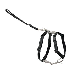 Harnais PetSafe 3-en-1: confort pour les promenades quotidiennes et entraînements.