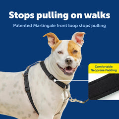 Harnais PetSafe en nylon respirant et réfléchissant pour visibilité nocturne.