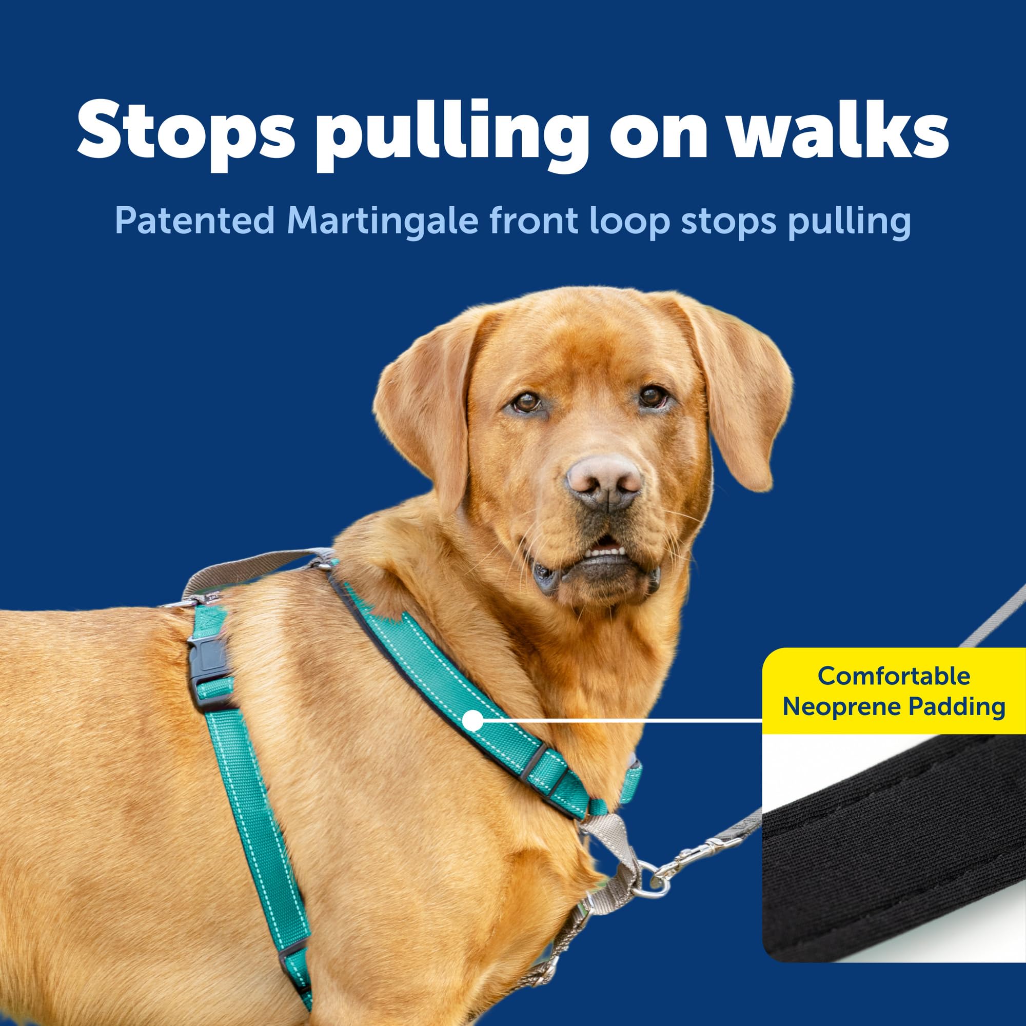 Harnais PetSafe 3-en-1 rembourrage doux pour un confort lors des promenades.