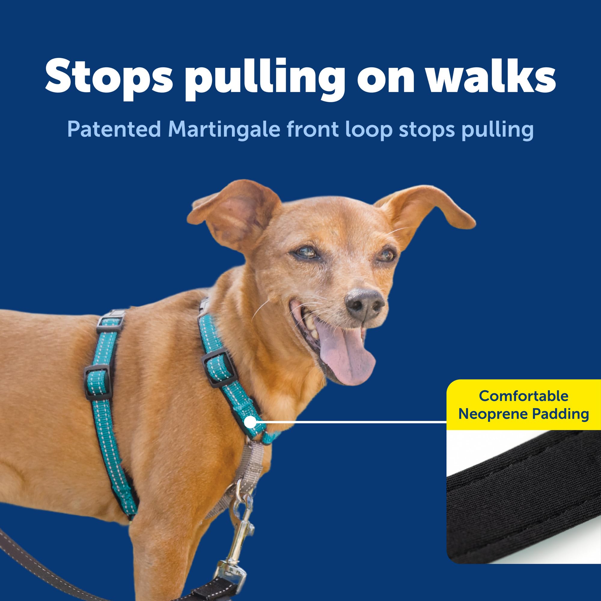 PetSafe Harnais 3-en-1 rembourrage doux, confort optimal pendant les balades.