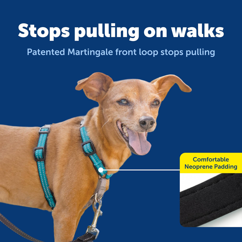 PetSafe Harnais 3-en-1 rembourrage doux, confort optimal pendant les balades.