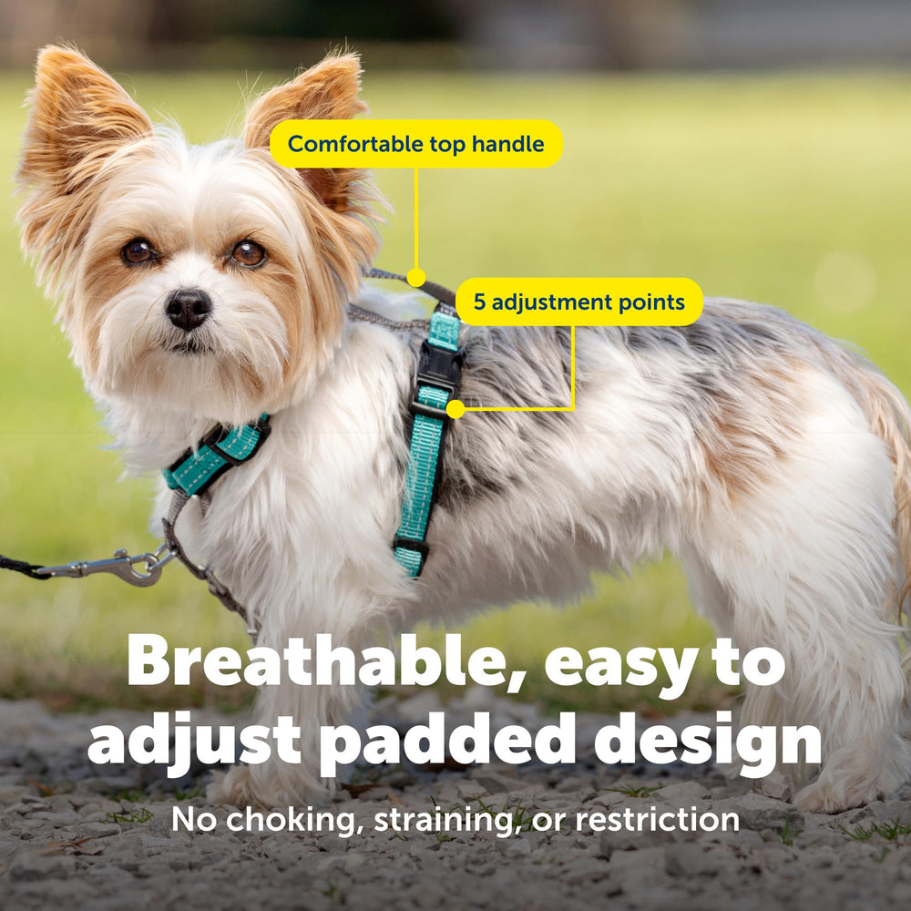 PetSafe Harnais 3-en-1 sangles respirantes offrant meilleure aération et sécurité.