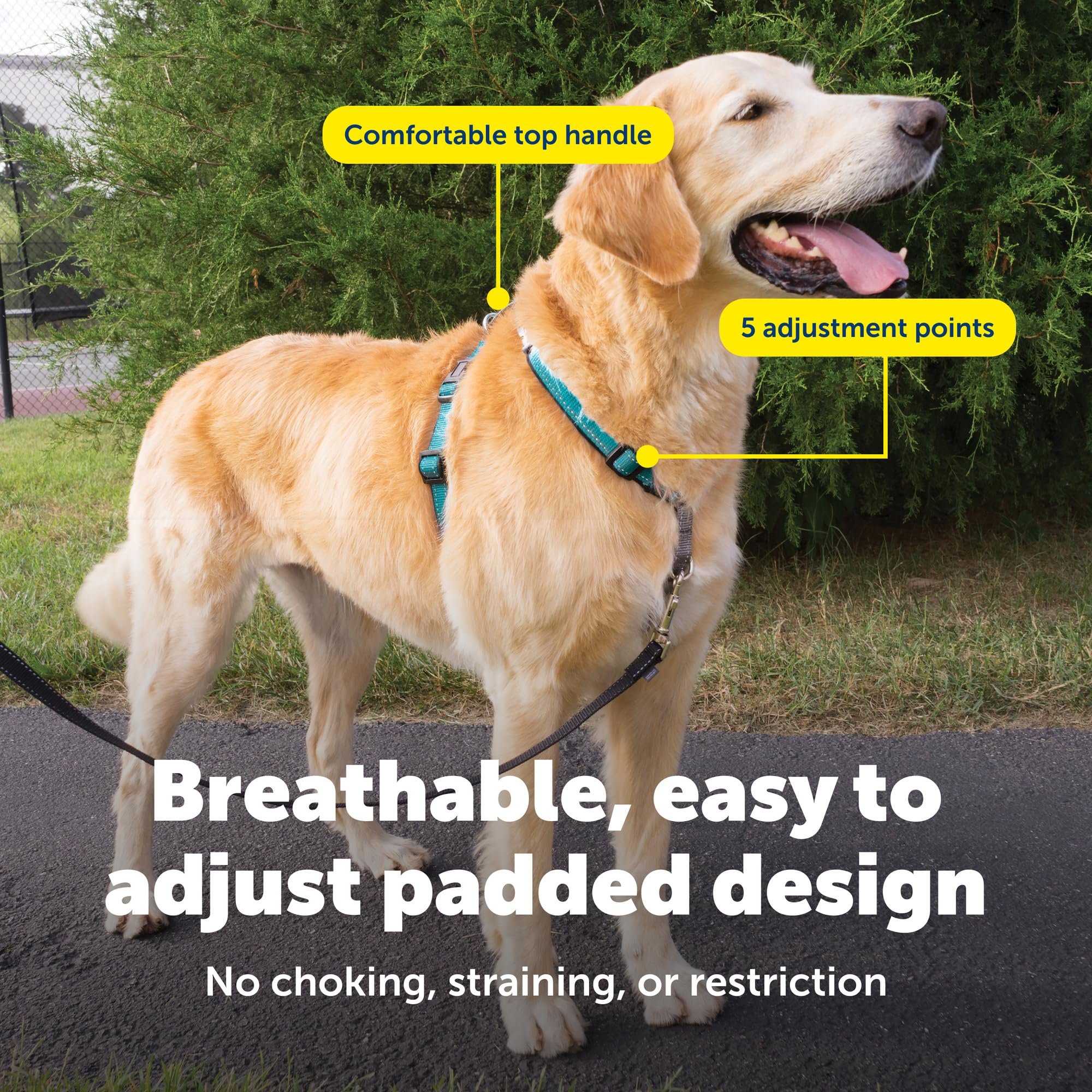 Harnais PetSafe 3-en-1 visibilité réfléchissante pour des sorties nocturnes plus sûres.