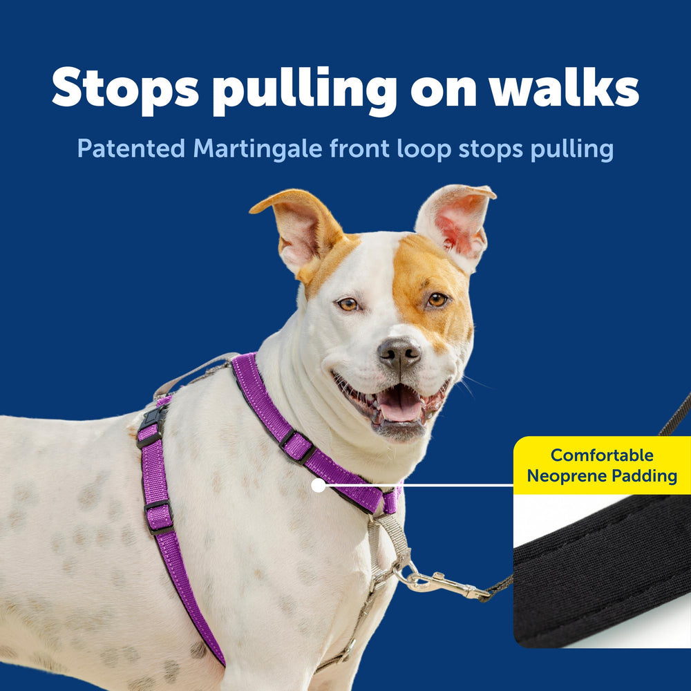 PetSafe 3-en-1 harnais avec martingale pour un contrôle progressif.