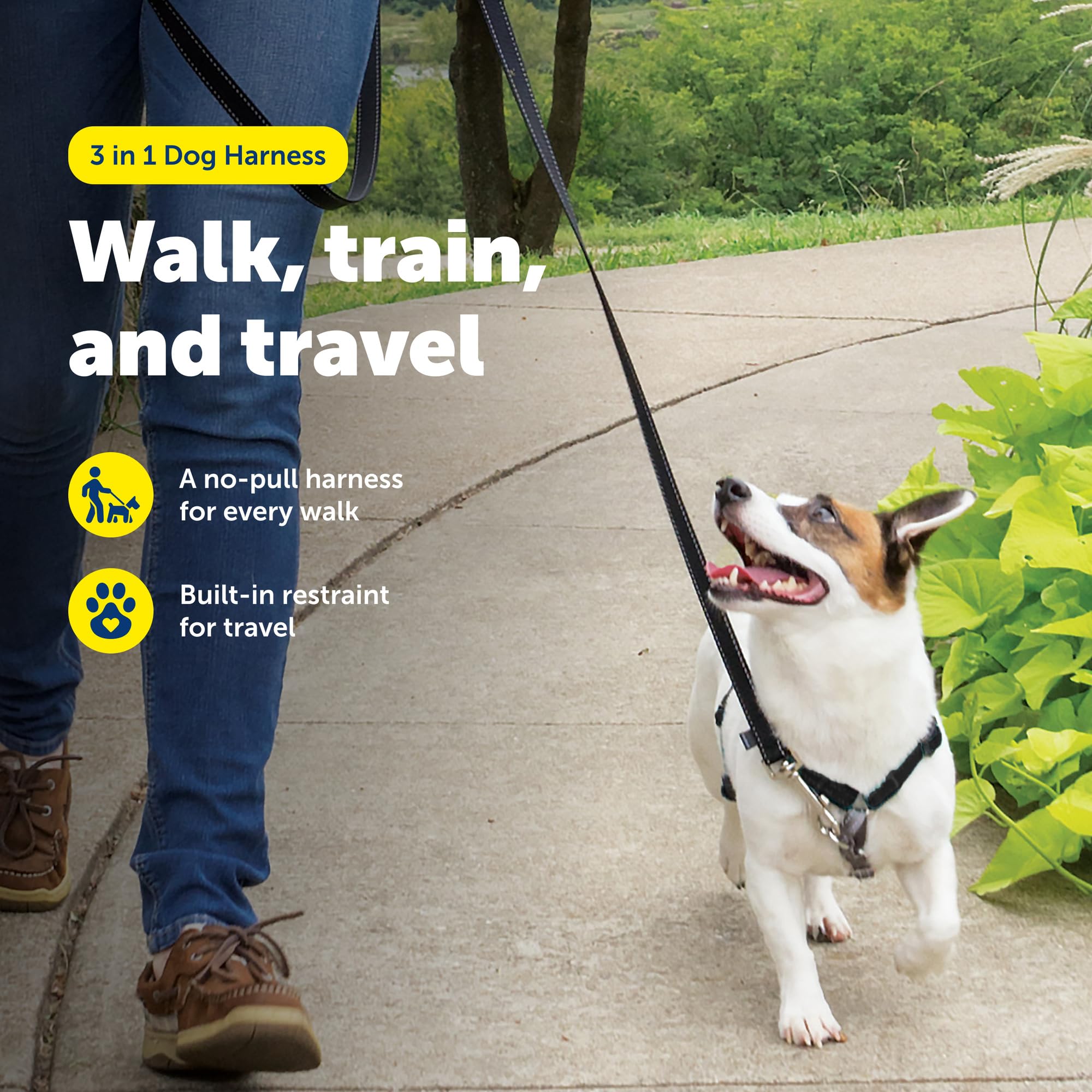 Harnais PetSafe avec attache-devant pour rediriger l’attention et limiter le tirage.