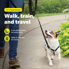 Harnais PetSafe avec attache-devant pour rediriger l’attention et limiter le tirage.
