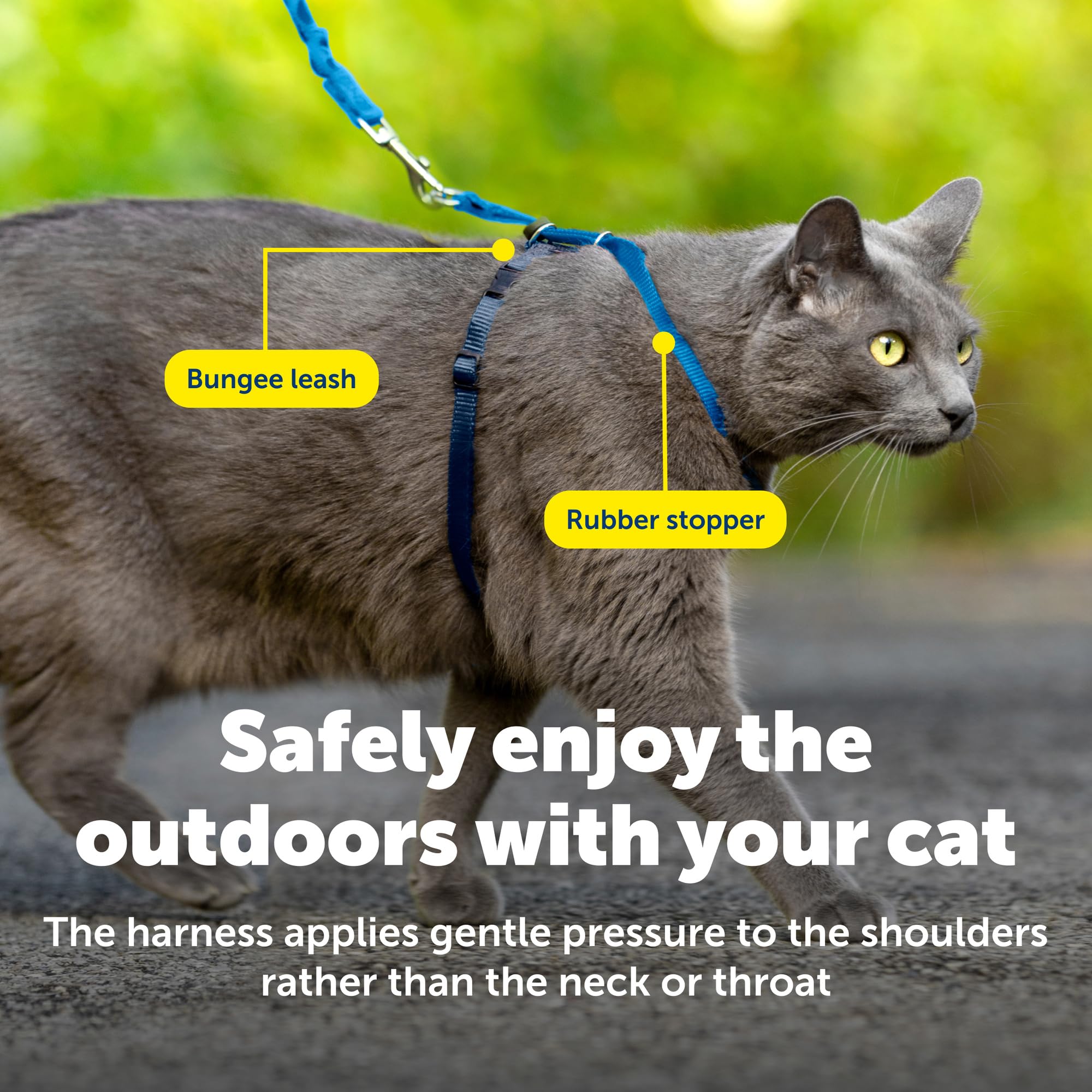Laisse élastique légère PetSafe pour chat, absorbe le tirage lors des promenades.