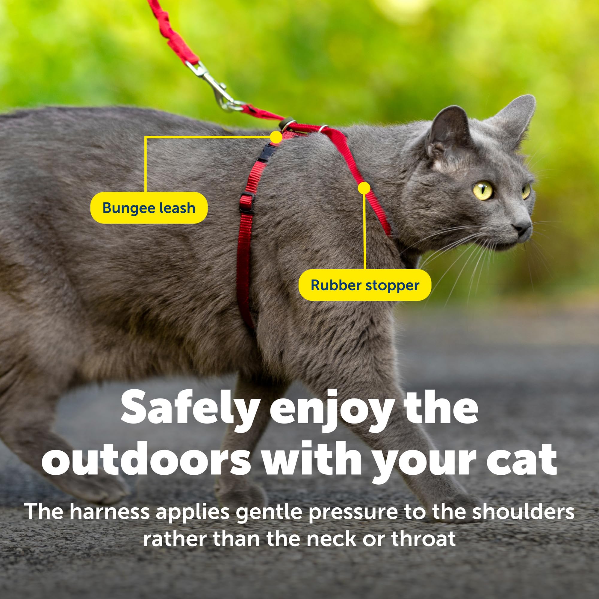 Visibilité et couleur rouge du harnais PetSafe lors des sorties.