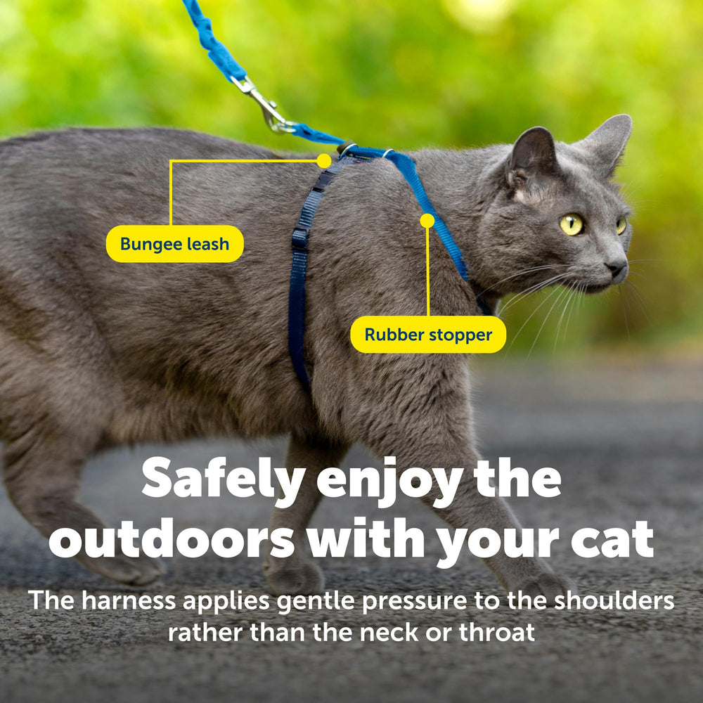 Ceinture ventrale code couleur PetSafe, repérage rapide et ajustement fiable