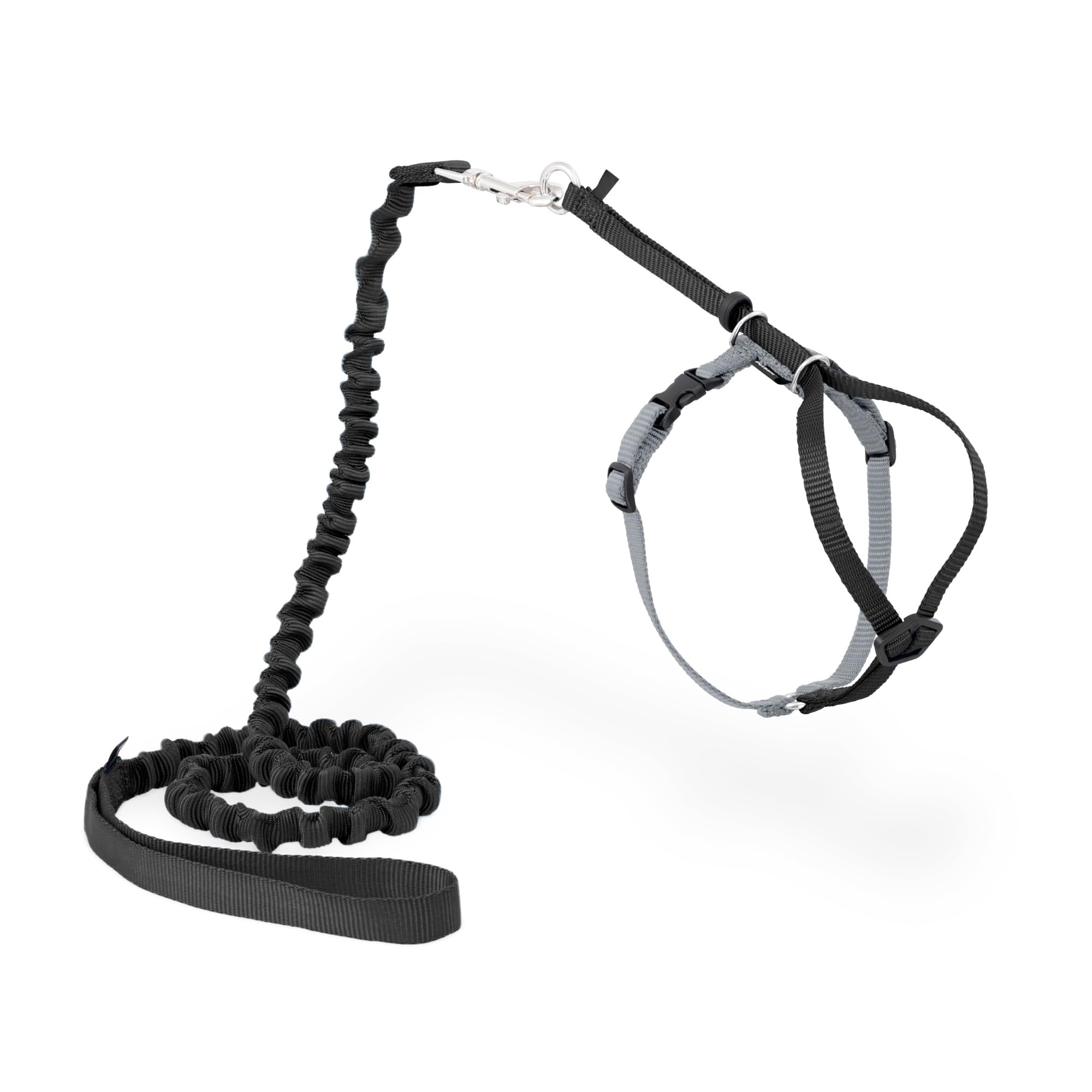 Harnais PetSafe Come With Me pour chat, ensemble sûr et confortable pour l'extérieur.