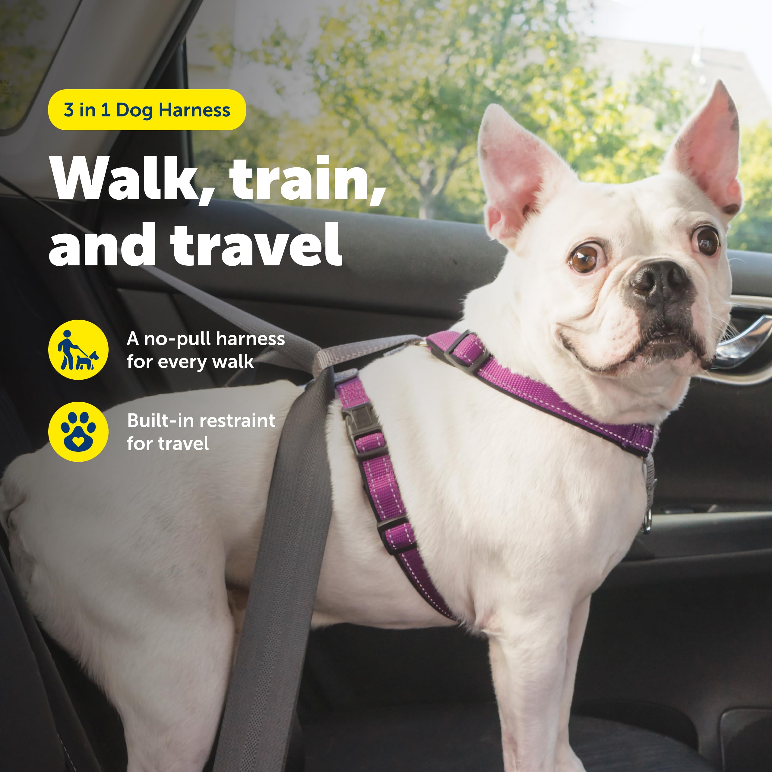Harnais PetSafe 3 en 1 anti traction avec clip arrière pour activité quotidienne