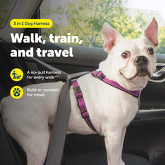 Harnais PetSafe 3 en 1 anti traction avec clip arrière pour activité quotidienne
