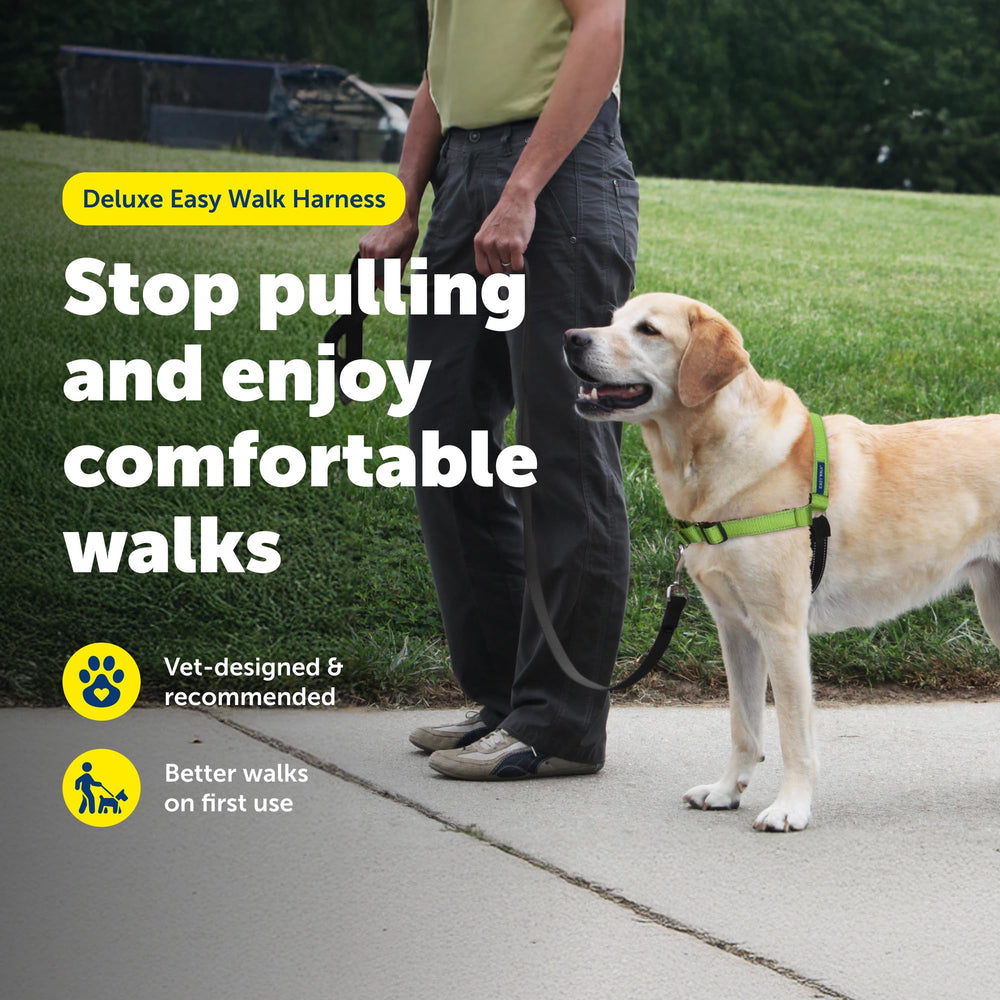 Harnais PetSafe Deluxe Easy Walk attache poitrine frontale pour diriger sans tirer.